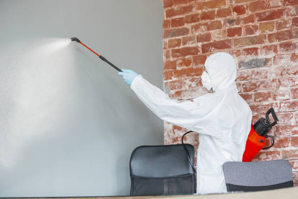 Best Mold-Related Health Consultation  in Muscle Shos, AL