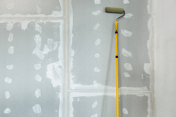 Reliable Muscle Shoals, AL Mold Removal Solutions