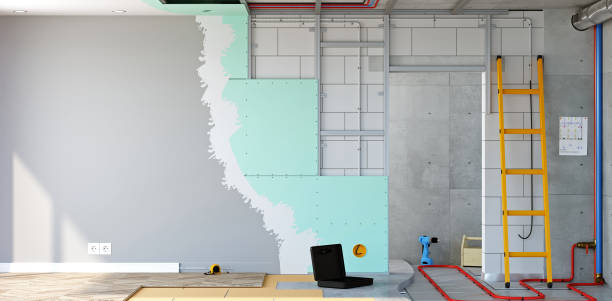 Best Black Mold Removal  in Muscle Shos, AL