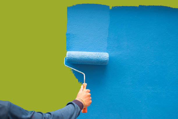 Best Attic Mold Removal  in Muscle Shos, AL